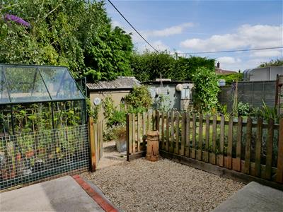 Picture 21